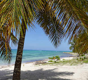 Saona Island mit Lilly