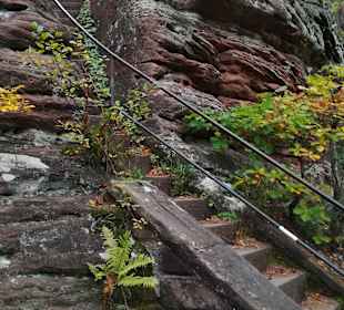 Dahner Rundwanderweg