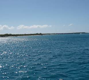 Schnorcheln und eine Tauchergruppe