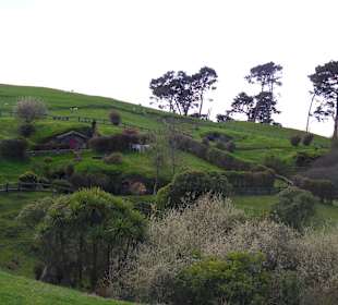 Hobbitton