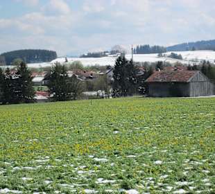 Blick vom Grabhofweg