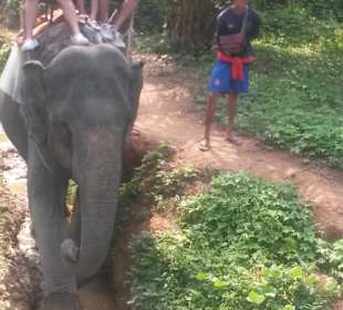 Elefantentour