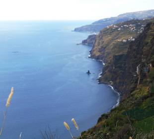 Camara de Lobos