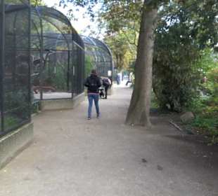 Zoologischer Garten