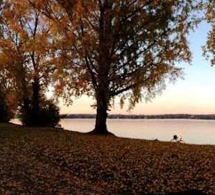 Herbsttag im Kreuzlinger Seepark