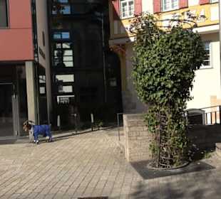 Rathaus