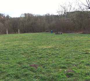 Beutwangsee Neckarhausen