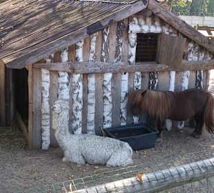 Zwierzęta którymi opiekują się pracownicy karczmy