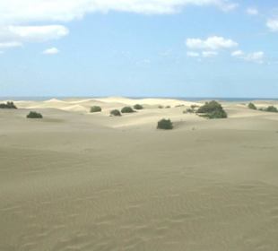 Dünen Maspalomas