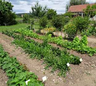 Impressionen aus dem Garten des Bauernmuseums