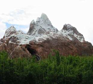Expedition Everest @ Animal Kingdom 