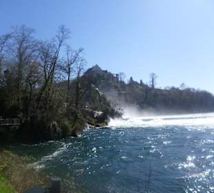 Rheinfall bei Schaffhausen