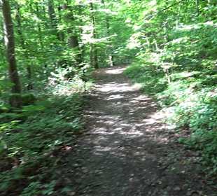 Sophienbrunnen von 1839 