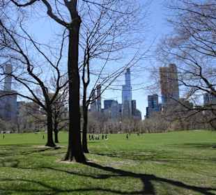 Stadtrundfahrt New York