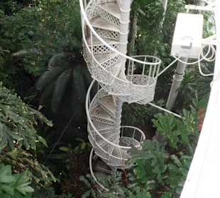 Palmenhaus - Wendeltreppe