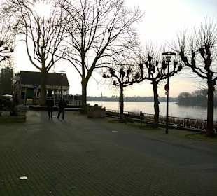 Берег Рейна. Кельн. Набережная.