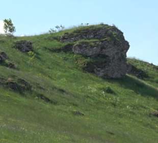 Naturdenkmal Kalkstein