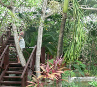 Manati park bavaro