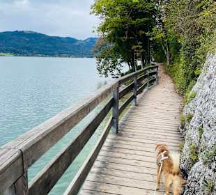 Rundwanderweg Bürglstein