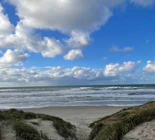 Strand Den Hoorn