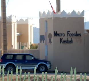 Macro Fossiles Kasbah