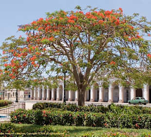 Parque José Martí (ehem. Plaza de Armas)