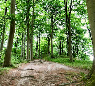 Wandern Sellin auf Rügen