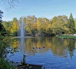 Der Parkteich am Hindenburgtor