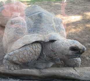 Aquarium / Oceanongrafic