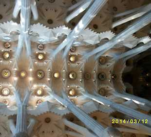 Sagrada Familia Decke