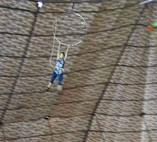 Hoch in der Zirkuskuppel