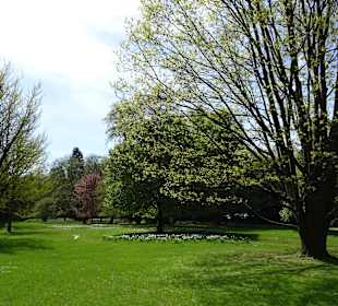 Garten Hohenheim