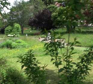 Wanderung Klosterquelle Klosterreichenbach