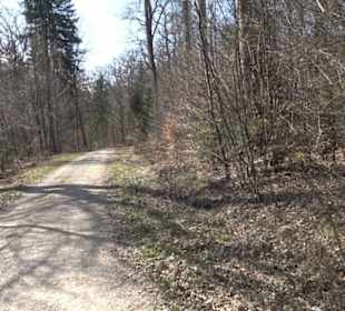 Geologischer Lehrpfad Kirnbachtal