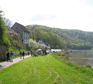 Kirschblütenfest in Rühle