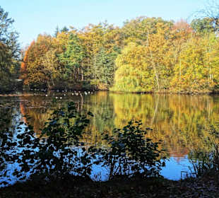 Am See im Bürgerpark Bremerhaven