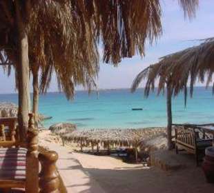 Ausblick vom Restaurant