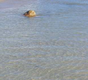 Zarzis spiaggia
