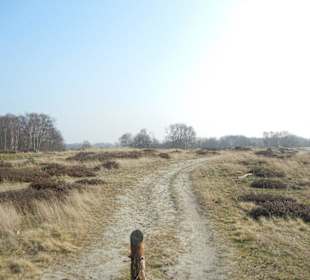 Wunderschöne Boberger Niederung