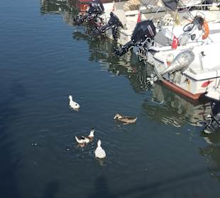 Wandern Kusadasi