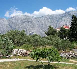 Uferpromenadenwandern