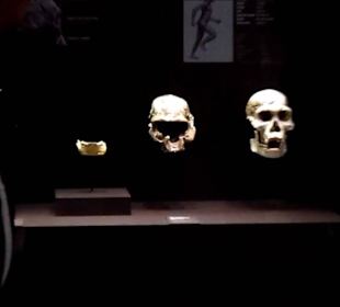 Museo Arqueologico Nacional