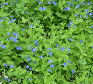 Eindruck vom Spaziergang Ostheimer Streifberg-Tour