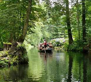 Spreewald