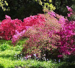 Eindrücke vom Spaziergang durch den Stadtpark