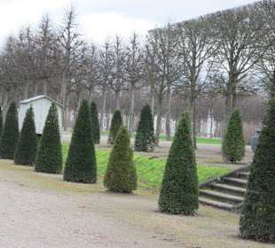 Schlosspark Schwetzingen im Winter