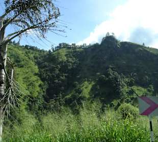 Elefantenreiten Sigiriya