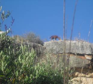 Wanderweg zum Strand