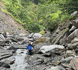 Wandern Donnersbachwald