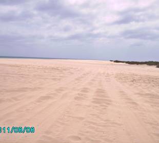 Santa Monica Beach Süd-Tour